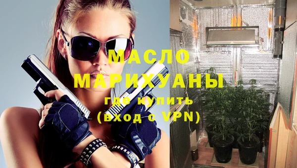индика Сясьстрой