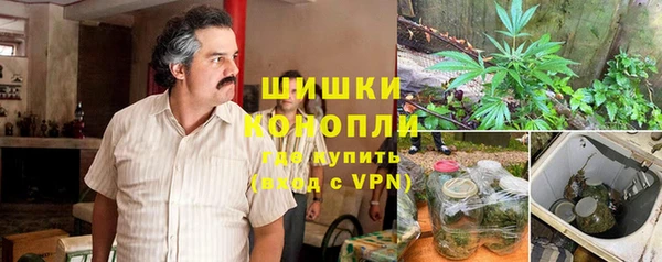 каннабис Арсеньев