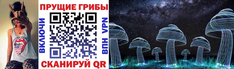 Псилоцибиновые грибы Magic Shrooms Курчатов
